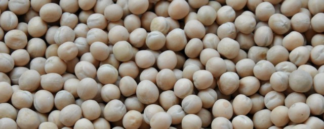 白豌豆的功效与作用 白豌豆的功效与作用简介