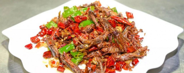 蝗虫菜谱怎样做好吃 蝗虫菜做法