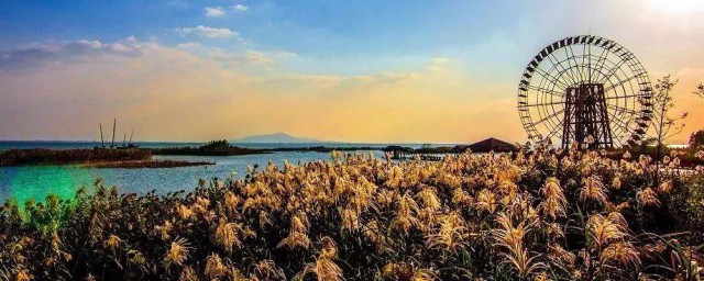 太湖水质污染的根本原因是什么 太湖水质为什么会污染呢