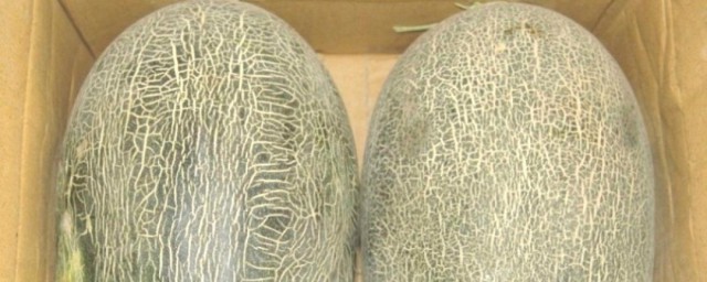 伽师瓜怎样挑选 怎样挑选伽师瓜