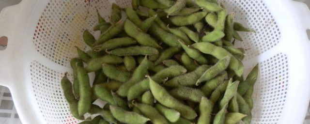 毛豆水开后要煮几分钟 毛豆水开后要煮几分钟