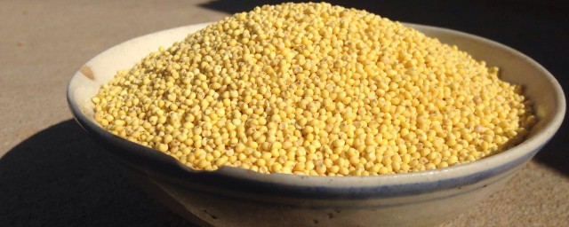大黄米可以直接煮粥吗 大黄米怎样煮粥