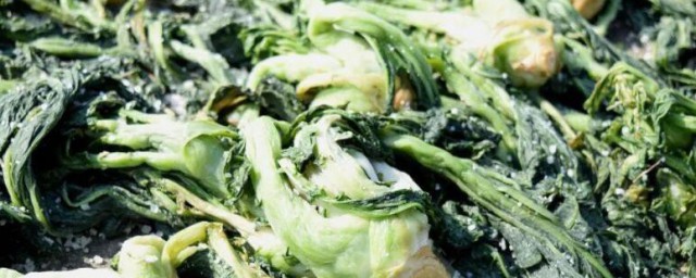 梅菜长什么样子 梅菜是怎样的