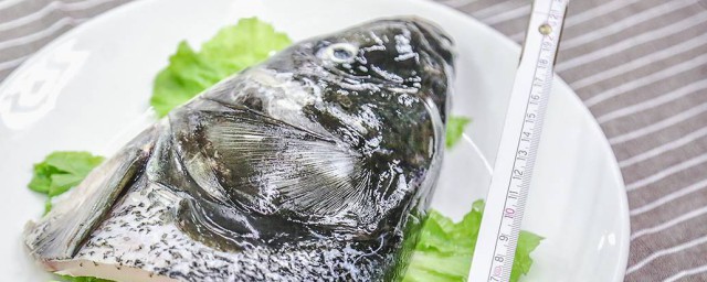 石斑鱼哪个地方有毒 石斑鱼有毒的地方简介