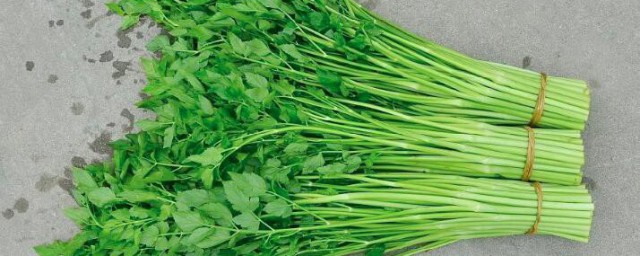 水芹菜怎样保鲜 储存水芹菜的次序