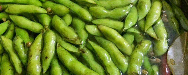 毛豆怎样保存时间更长更新鲜 毛豆的保鲜技巧
