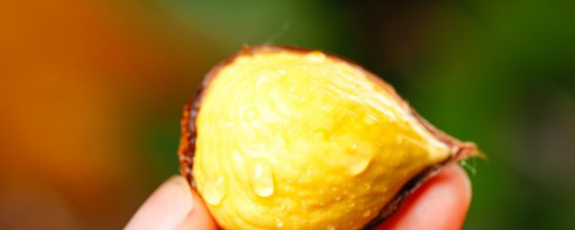 板栗冷冻后能不能吃 生板栗冷冻后还能吃吗