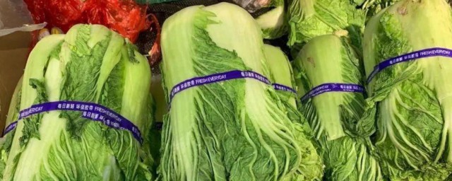 冷库储存大白菜的技巧 冷库储存大白菜的技巧分享