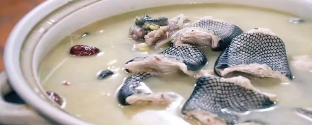 蛇肉煲怎样做 蛇肉煲做法