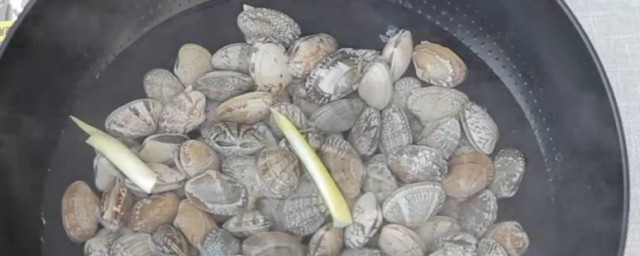 温州花蛤的制作技巧 温州花蛤怎样做