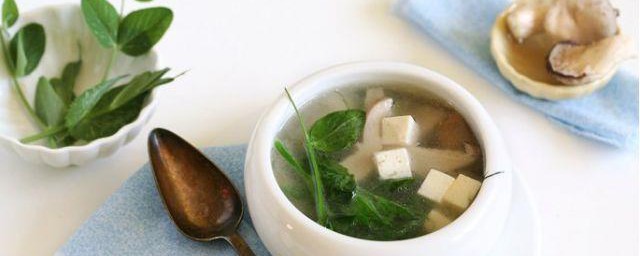 豌豆苗豆腐汤怎样做 教你怎样做豌豆苗豆腐汤