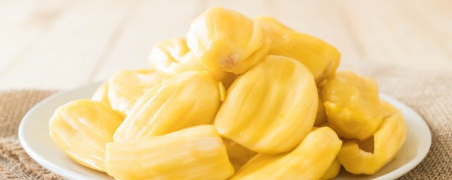菠萝蜜培养方法 菠萝蜜核水培方法介绍