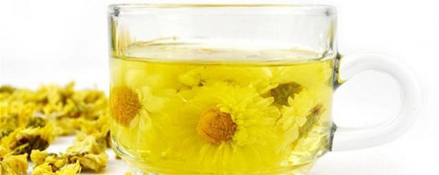 菊花茶怎样选 怎样选菊花茶