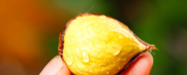 煮熟的板栗怎样去皮 煮熟的板栗怎样去皮