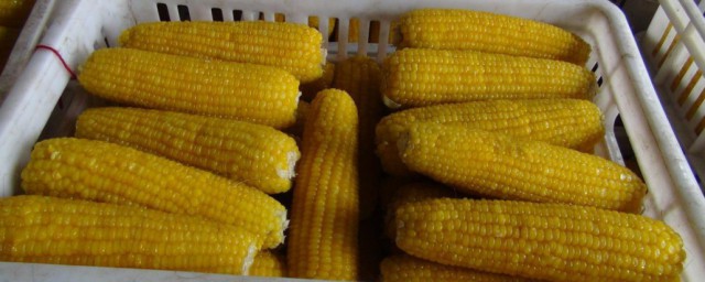 粘玉米怎样制作技巧 粘玉米做法