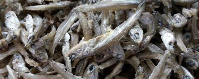 炒海燕鱼的做法 自制炒海燕鱼的技巧