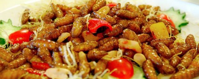 蚕虫的功效与作用吃法 蚕虫的好处和食用技巧