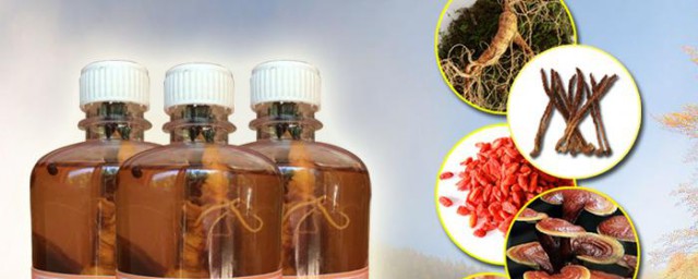 喝鹿鞭酒忌讳 喝鹿鞭酒的注意事项介绍