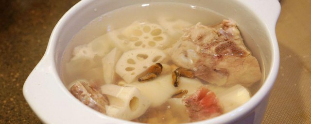 花生莲藕排骨汤怎样做 花生莲藕排骨汤的做法简介