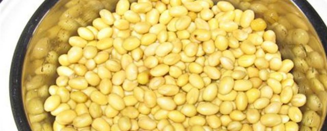 捂丝豆子的诀窍 捂丝豆子的诀窍简介