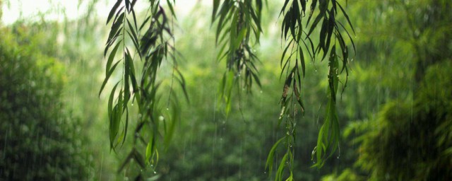 梅雨季节怎样保持室内干燥 梅雨季节保持室内干燥技巧