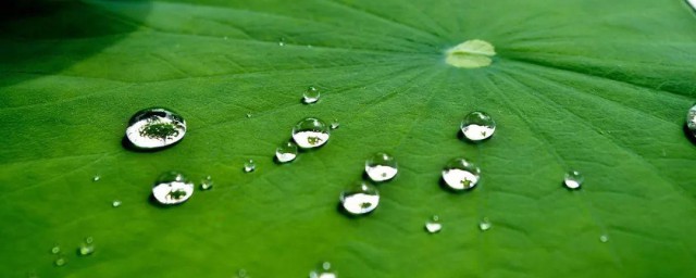 梅雨季节家里潮湿怎样办 梅雨季节家里潮湿解决技巧