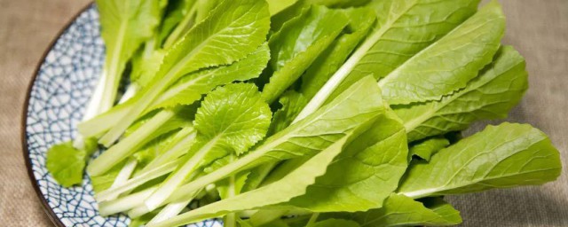 小白菜不能和什么一起吃 小白菜同食禁忌