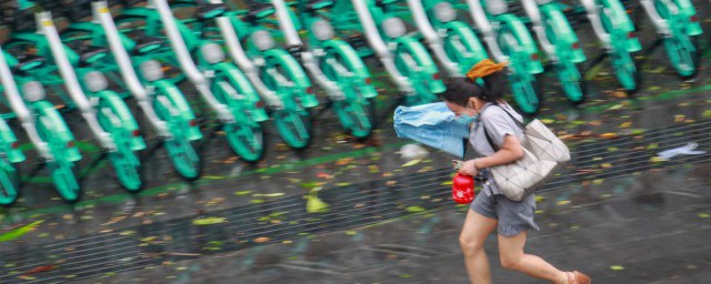 关于雨水节气的祝福语 关于雨水节气的经典祝福语