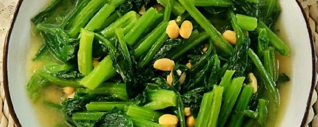 春菜怎么煮好吃 春菜的做法步骤