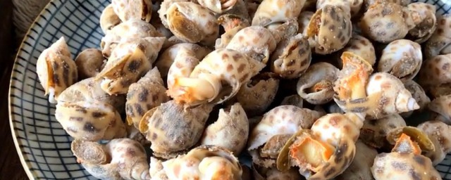花螺怎样煮好吃 花螺这样煮贼下饭