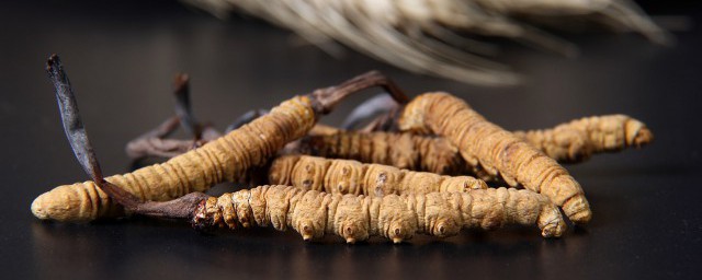 竹虫如何保存是保鲜还是冷冻 竹虫保存要领