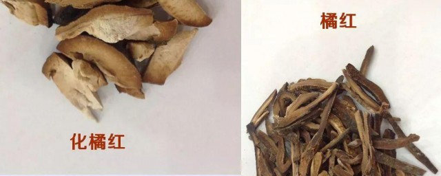 橘红是什么东西 橘红是什么