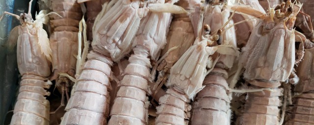 皮皮虾冷冻怎样保鲜 皮皮虾冷冻怎样保鲜