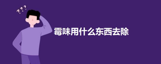 霉味用什么东西去除 去除房间霉味的技巧