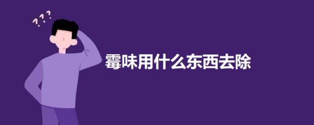 霉味用什么东西去除 去除房间霉味的要领