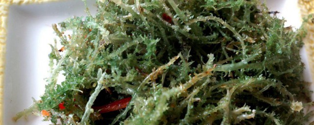 鹿角菜的泡发方式 鹿角菜怎么泡发