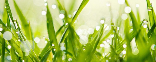 适合三月发朋友圈的说说清新范 2021你好三月微信唯美句子