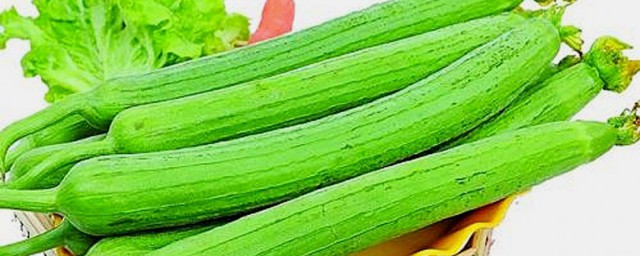 丝瓜怎样保鲜 怎样保存丝瓜