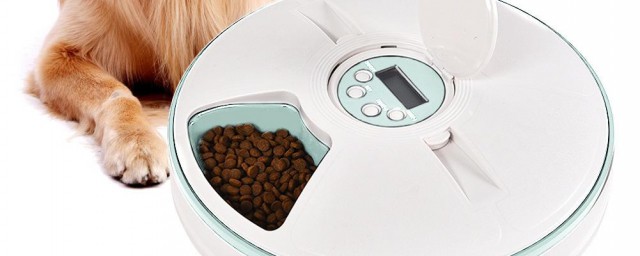 怎么做狗的喂食器 狗的喂食器如何做