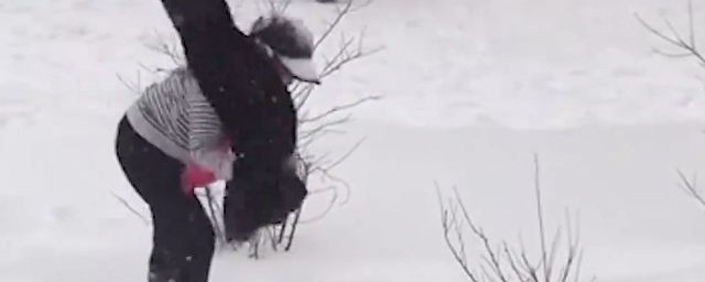 貂皮用雪怎样清洗 用雪清洗貂皮的办法