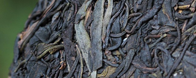 紫茶的精确饮用技巧 紫茶怎样喝