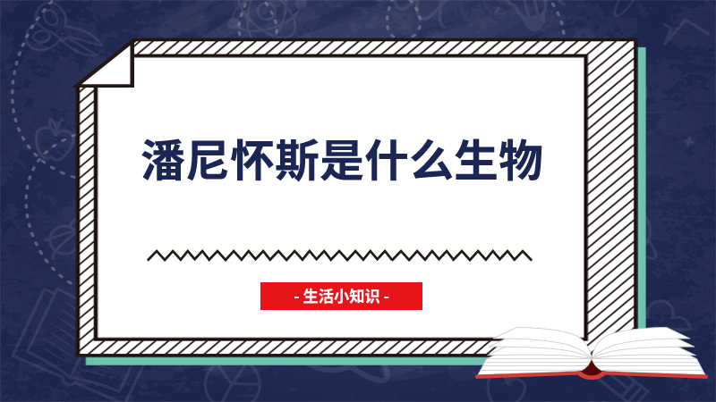 潘尼怀斯是什么生物