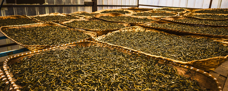 老曼峨普洱茶特点是