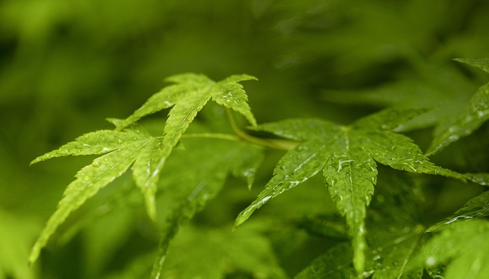 24节气的历史和由来