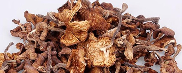 东北干野山菇怎么吃 东北干野山菇如何吃