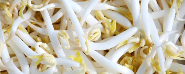米醋快速生豆芽的技巧 米醋能起什么作用