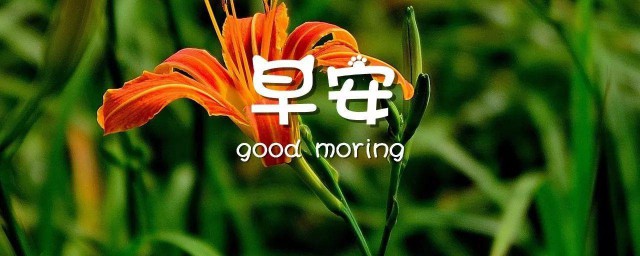 每天一句简单的问候语早上好 简短问候早上好的优秀句子