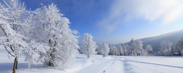冬天除雪的五种技巧 简介冬天除雪的五种技巧