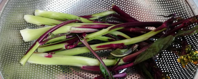 红菜苔怎样烧好吃又简单 红菜苔做法