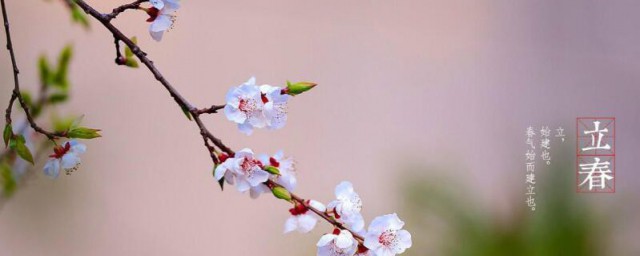 2021立春意味着什么 2021立春是什么意思